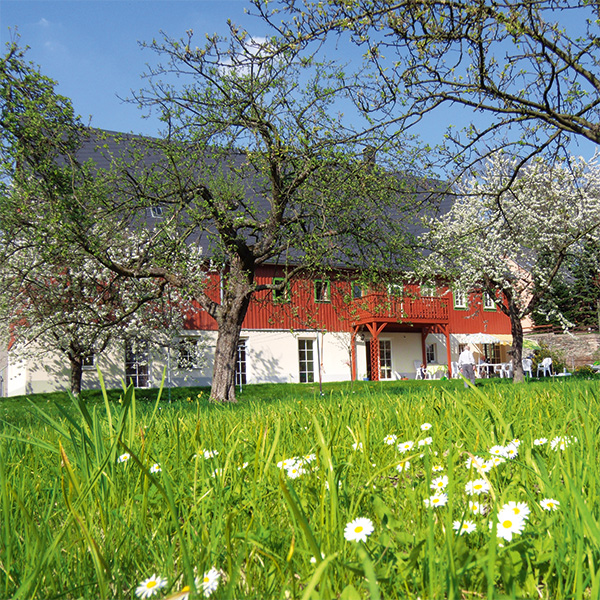 Pflegedienst-debora-krause-chemnitz-erfenschlag-Ölmuehle-Kirschbluete